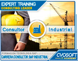 Conozca nuestra Carrera Consultor SAP Industrial
