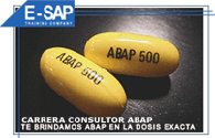 Carrera Consultor SAP ABAP