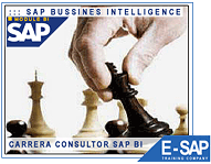 Carrera Analista SAP Business Intelligence