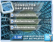 Carrera Administrador SAP BASIS Netweaver