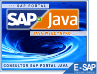 Carrera Sap Portal - Webdynpro Java