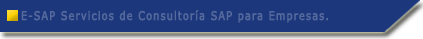 Consultoria SAP para empresas