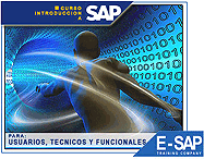 Carrera Consultor SAP ABAP