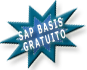 sap basis