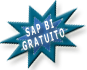 sap basis