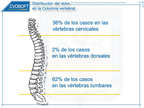Distribucion del dolor en la columna vertebral