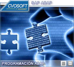 Consultor SAP ABAP