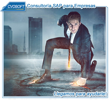 Consultoria SAP para empresas
