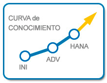 Curva de Conocimiento del Plan Carrera Consultor SAP FI Senior