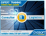 Conozca nuestra Carrera Consultor SAP Logístico