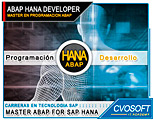 Conozca el MasterAbap for SAP HANA