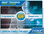 Conozca la Carrera Consultor ABAP