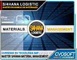 Conozca el Master S/4HANA Material Management