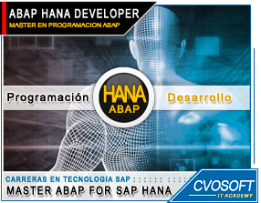 Conozca nuestro Máster ABAP for HANA