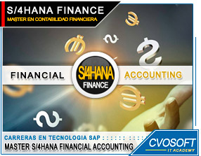 Master S/4HANA FINANCE en Contabilidad Financiera
