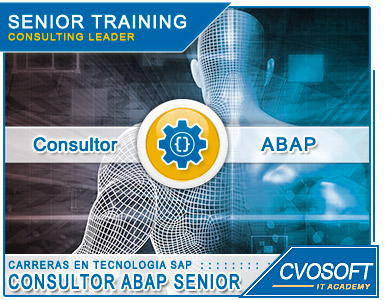 Carrera Consultor ABAP Senior