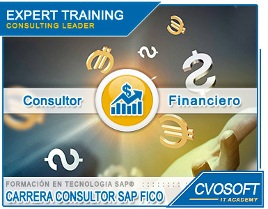 Ampliar Imagen Carrera Consultor SAP FICO