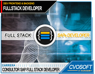 Carrera Consultor SAP Full Stack Developer