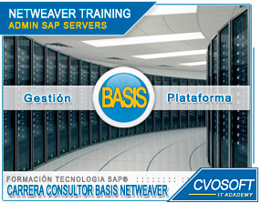 Conozca nuestra Carrera Admnistrador BASIS NetWeaver
