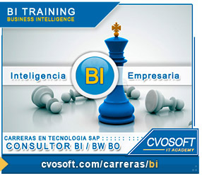 Conozca nuestra Carrera Consultor en SAP BI BW 