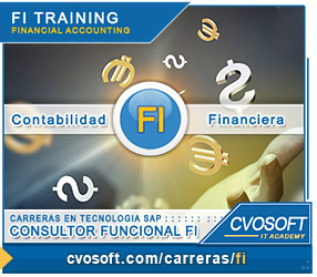 Conozca nuestra Consultor en SAP FI Conozca nuestra Consultor en SAP FI