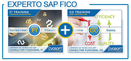 Consultor en SAP FICO