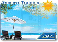 CVOSOFT Summer Training