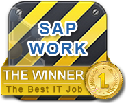 SAP ABAP Work