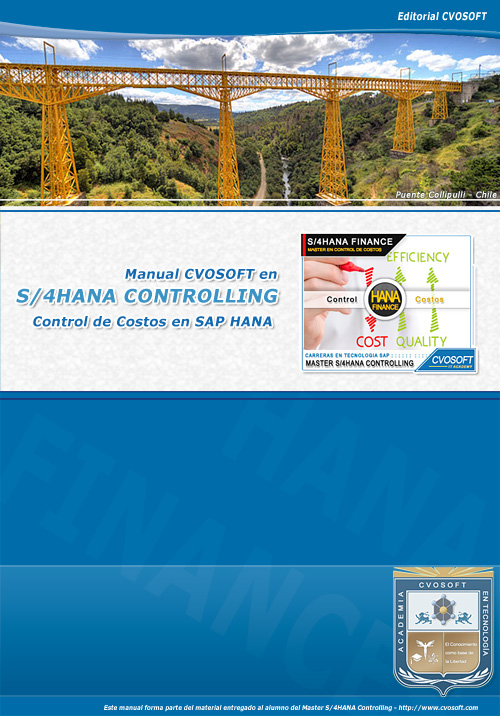 Tapa Manual SAP S/4HANA FINANCE Controlling