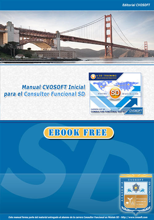 Descargar Ebook SAP SD
