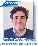Martin Ariel Ibarra