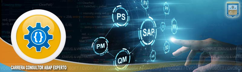 Integración Funcional SAP