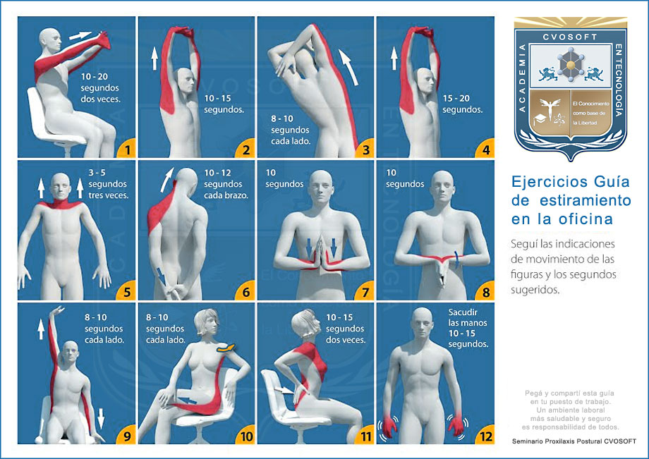 Mostrar Gu&iacute;a imprimible de ejercicios de estiramientos