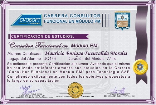 Certificación de estudios en Carrera Consultor SAP PM