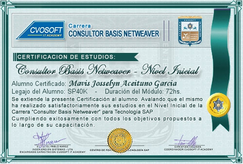 Certificaci�n de estudios en Carrera Consultor SAP BASIS NetWeaver Nivel Inicial