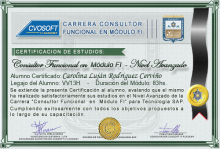 Certificación en Carrera Consultor SAP FI Nivel Avanzado