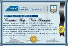 Certificación en Carrera Consultor ABAP Nivel Avanzado