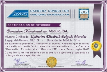 Certificación en Carrera Consultor SAP PM