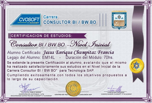 Certificaci�n de estudios en Carrera Consultor SAP BI / BW BO Nivel Inicial