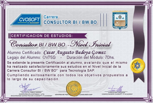 Certificación de estudios en Carrera Consultor SAP BI / BW BO Nivel Inicial