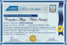 Certificación en Carrera Consultor ABAP Nivel Inicial