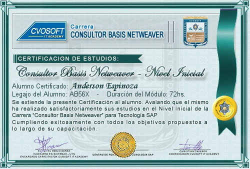 Certificaci�n de estudios en Carrera Consultor SAP BASIS NetWeaver Nivel Inicial