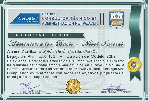 Certificación de estudios en Consultor BASIS Nivel Inicial