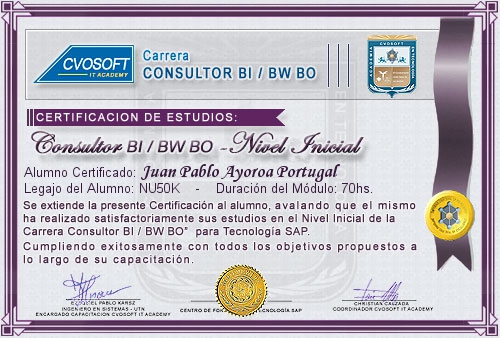 Certificación de estudios en Carrera Consultor SAP BI / BW BO Nivel Inicial