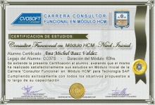 Certificación en Carrera Consultor SAP HCM Nivel Inicial