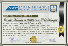 Certificación en Carrera Consultor SAP HCM Nivel Avanzado