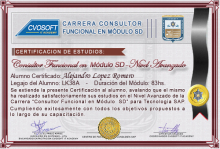 Certificación en Carrera Consultor SAP SD Nivel Avanzado