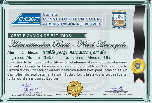 Certificaci�n de estudios en Carrera Consultor SAP BASIS NetWeaver Nivel Avanzado