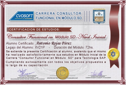 Certificación de estudios en Carrera Consultor SAP SD Nivel Inicial