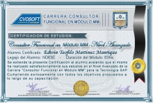 Certificación en Carrera Consultor SAP MM Nivel Avanzado